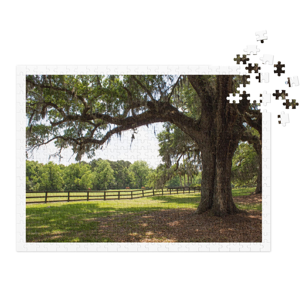 Oak Tree, Pasture & Horses Landscape Jigsaw Puzzle – 500 Pieces in Tin Box