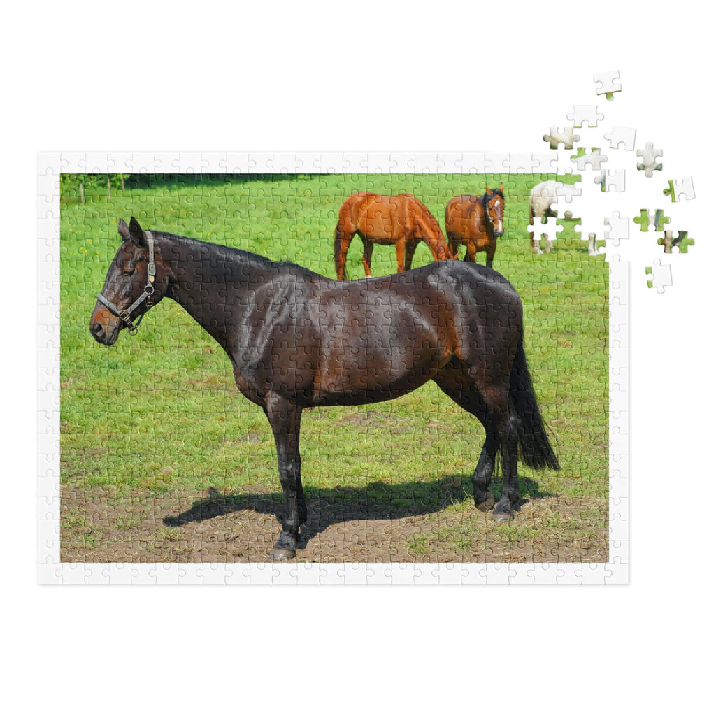 Horses in Pasture Jigsaw Puzzle – 500 Pieces in Tin Box