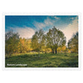 Nature Landscape Jigsaw Puzzle – 500 Pieces in Tin Box