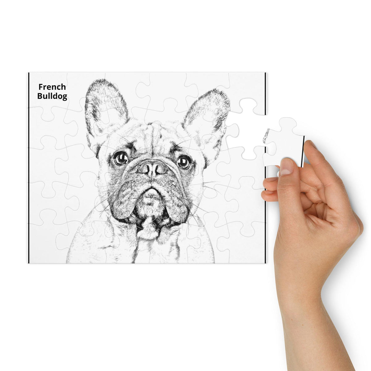 French Bulldog Colorable Jigsaw Puzzle – 30 Pieces in Tin Box