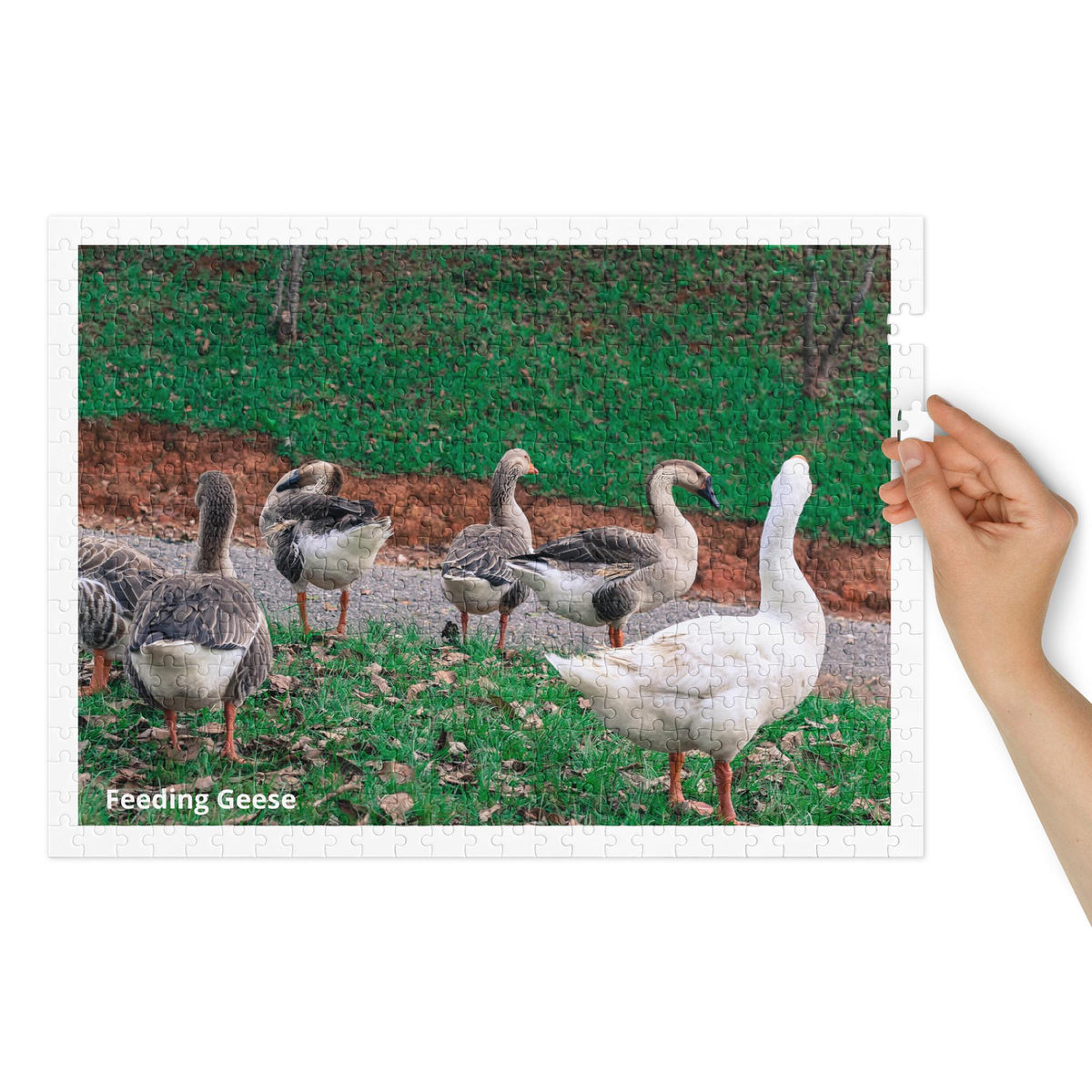Feeding Geese 500 Piece Jigsaw Puzzle, Glossy Finish, Tin Box