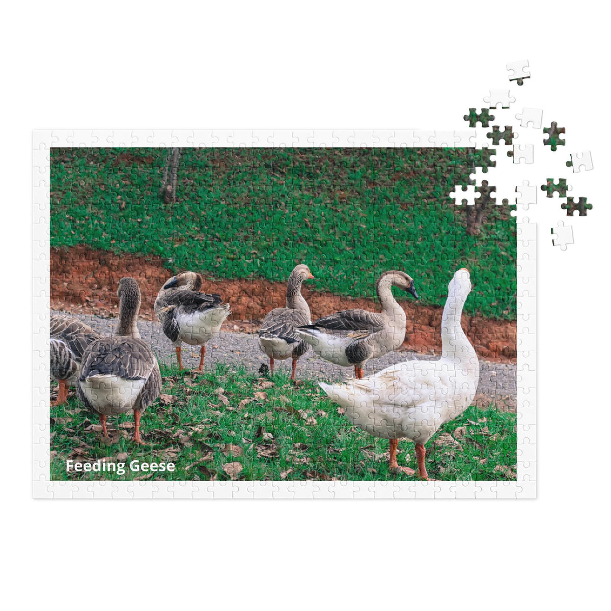 Feeding Geese 500 Piece Jigsaw Puzzle, Glossy Finish, Tin Box