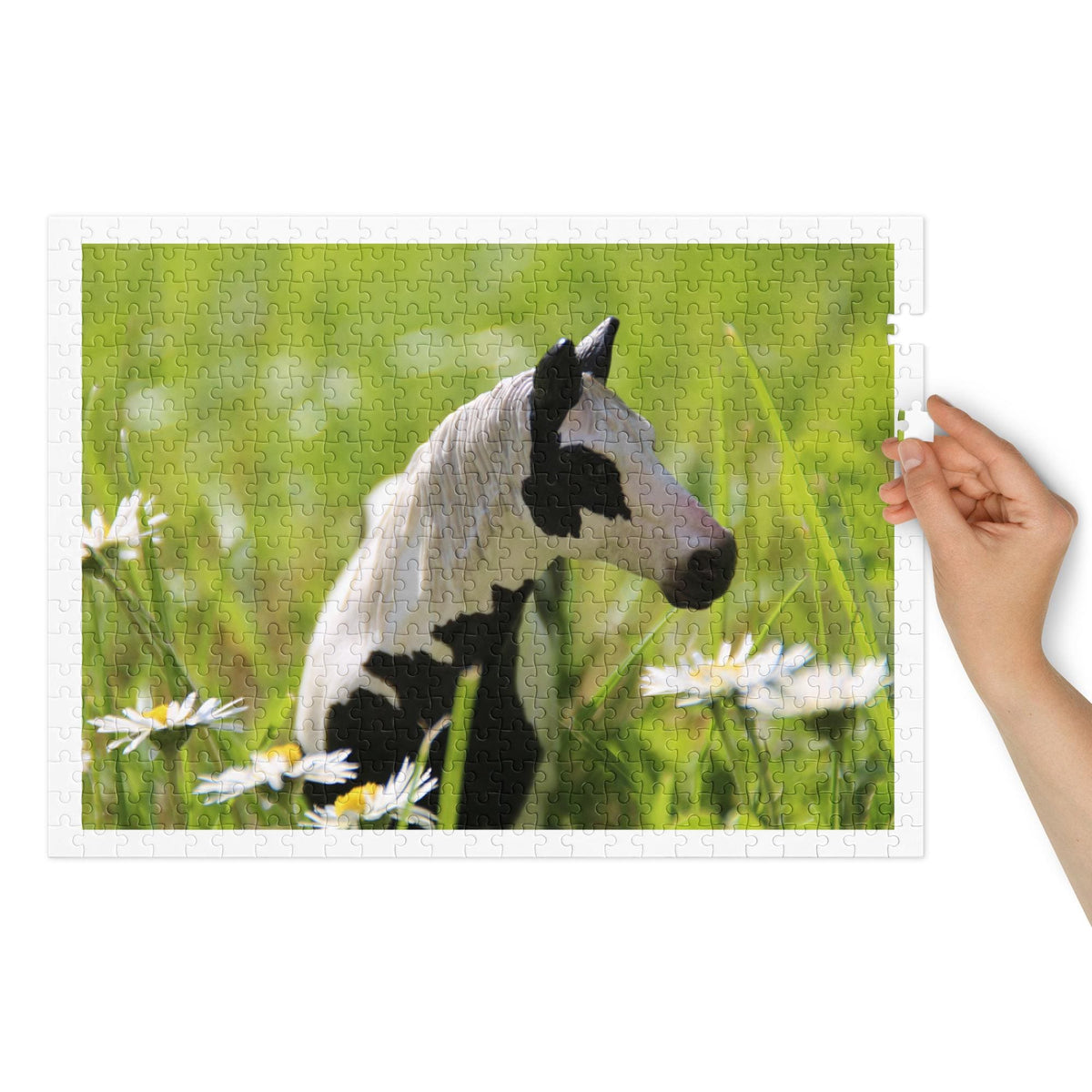 Black and White Pony Jigsaw Puzzle – 500 Pieces in Tin Box