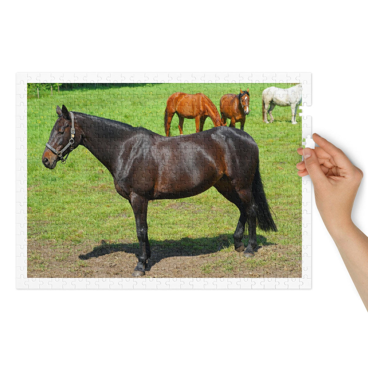 Horses in Pasture Jigsaw Puzzle – 500 Pieces in Tin Box