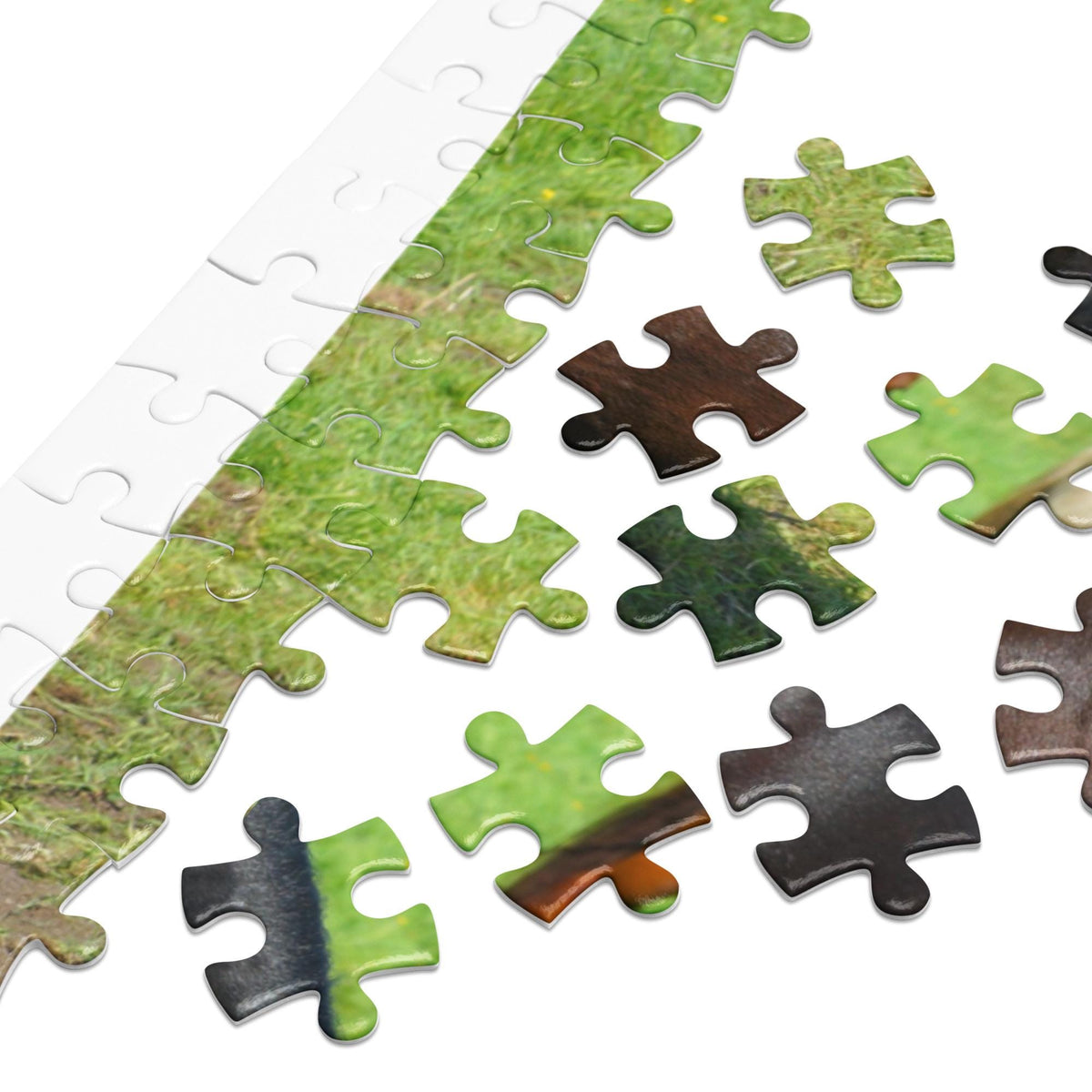 Horses in Pasture Jigsaw Puzzle – 500 Pieces in Tin Box
