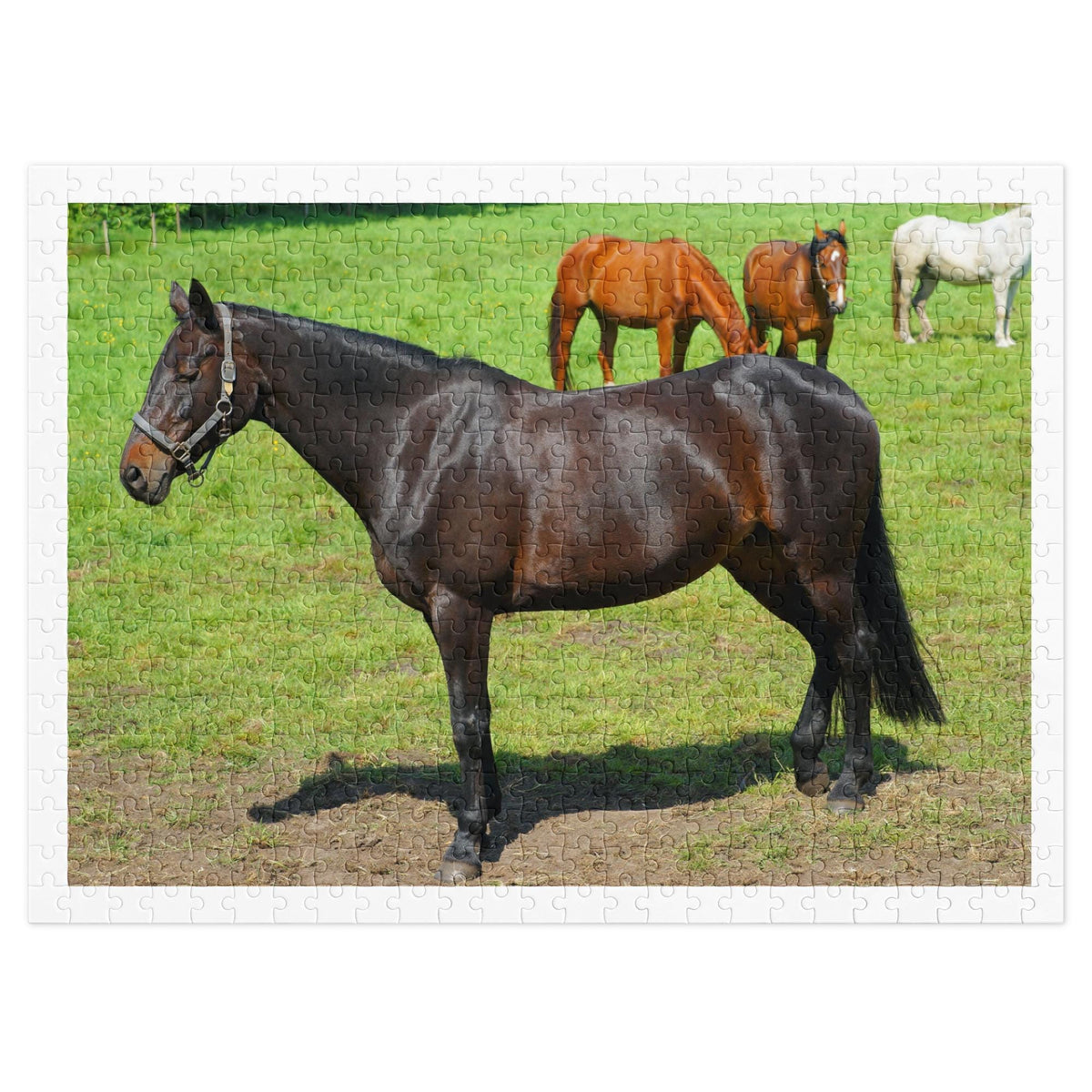 Horses in Pasture Jigsaw Puzzle – 500 Pieces in Tin Box