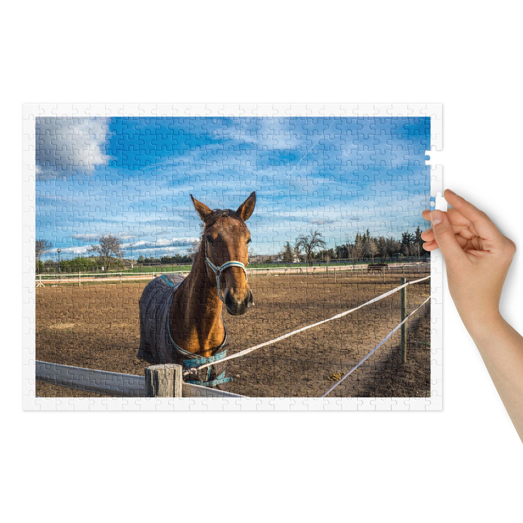 Tamed Horse Landscape Jigsaw Puzzle – 500 Pieces in Tin Box
