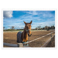 Tamed Horse Landscape Jigsaw Puzzle – 500 Pieces in Tin Box