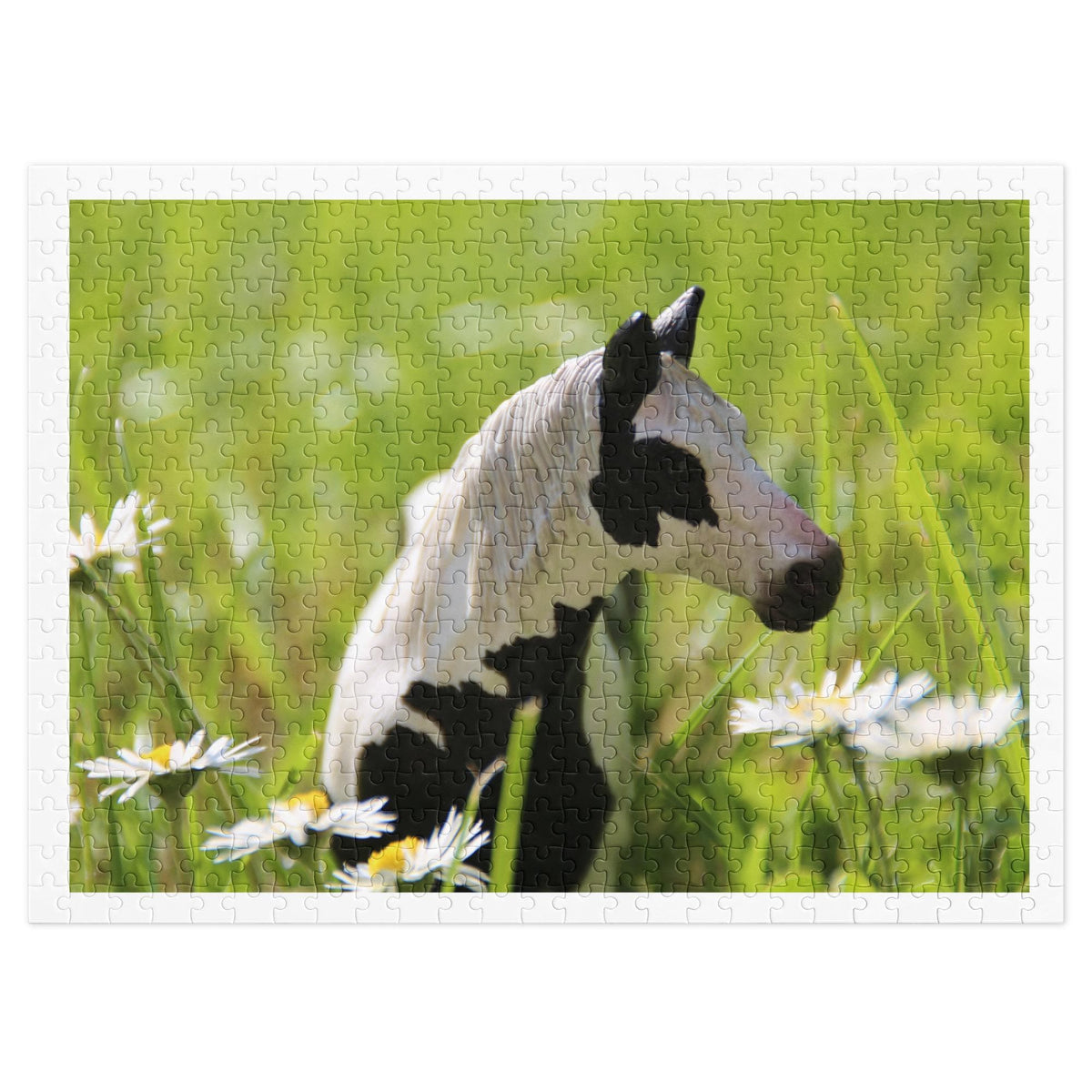 Black and White Pony Jigsaw Puzzle – 500 Pieces in Tin Box