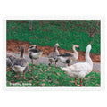 Feeding Geese 500 Piece Jigsaw Puzzle, Glossy Finish, Tin Box