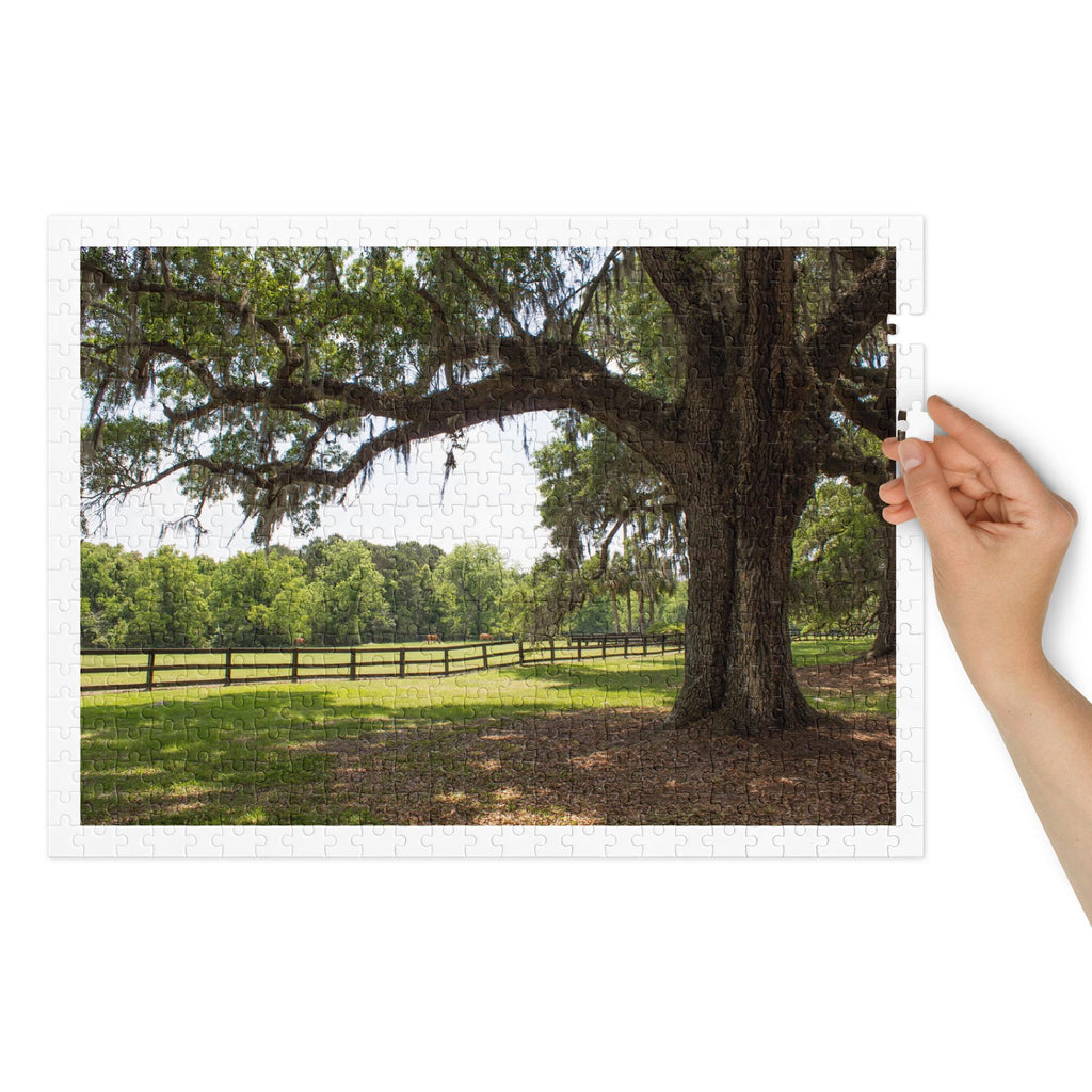 Oak Tree, Pasture & Horses Landscape Jigsaw Puzzle – 500 Pieces in Tin Box